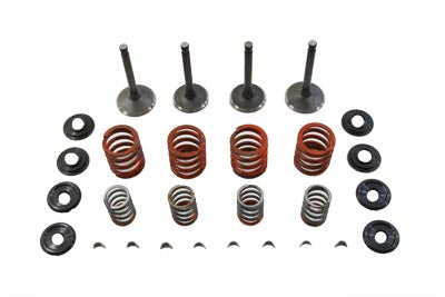 Nitrate Valve and Spring Kit