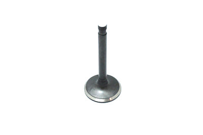 Nitrate Steel Exhaust Valve