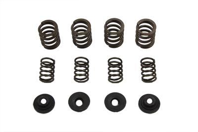 Valve Spring Set