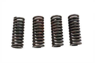 Valve Spring Set