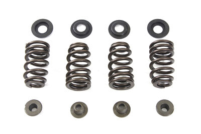 Valve Spring Kit