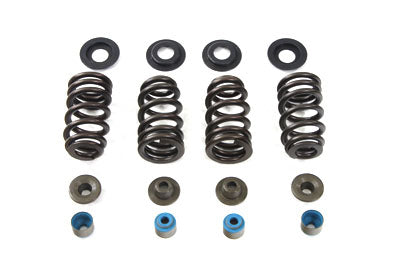 Valve Spring Kit