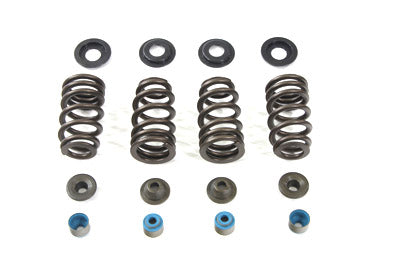 Valve Spring Kit