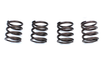 Valve Spring Kit