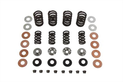 Valve Spring Kit