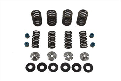 Valve Spring Kit