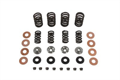 Valve Spring Kit