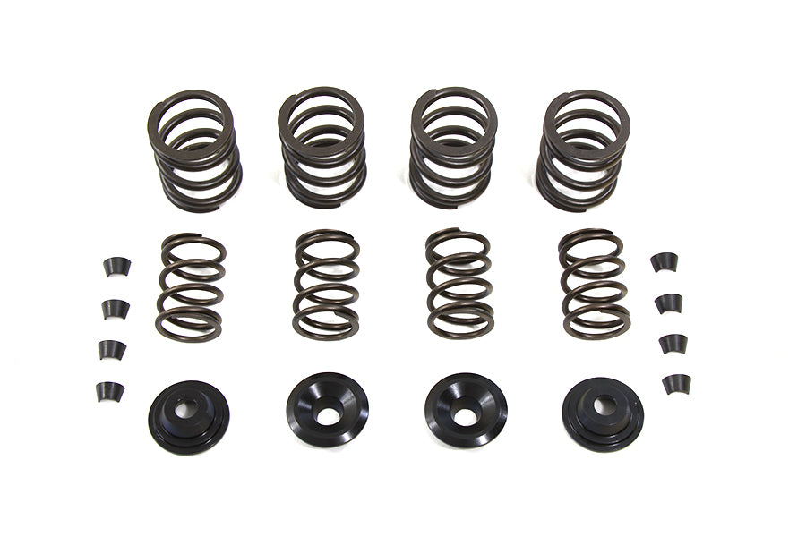 Valve Spring Kit