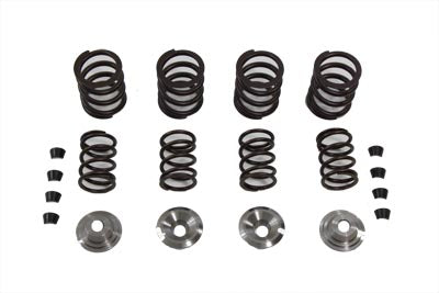 Valve Spring Kit