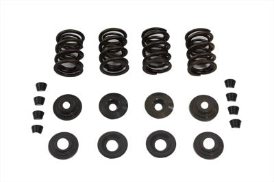 Valve Spring Kit