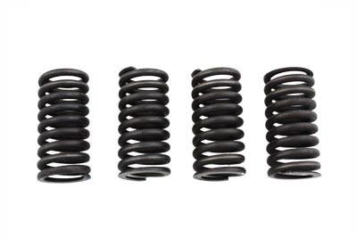 Valve Spring Set