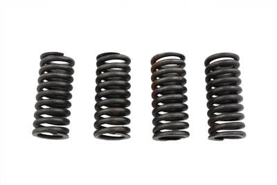 Valve Spring Set