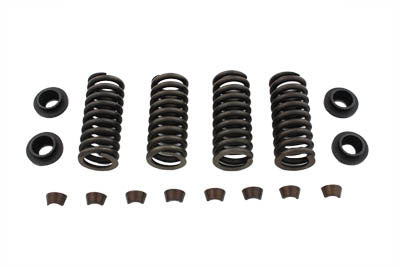 Valve Spring Kit