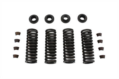 Valve Spring Kit