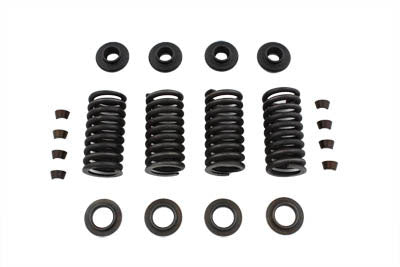 Valve Spring Kit