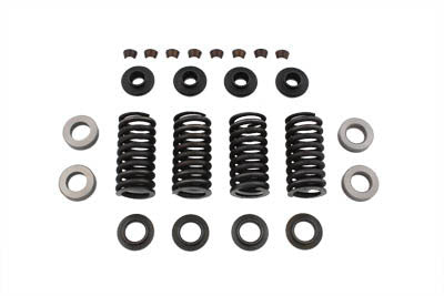 Valve Spring Kit