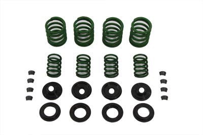 Valve Spring Kit