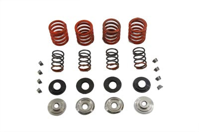 Valve Spring Kit