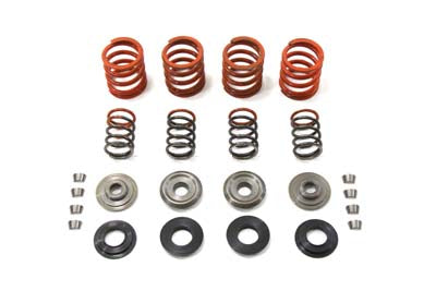 Valve Spring Kit