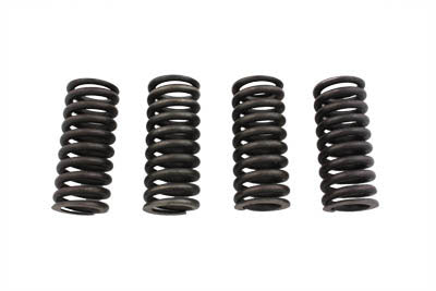 Valve Spring Set