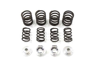 Valve Spring Kit