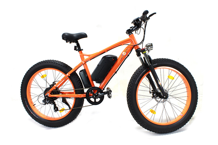 E-Bike 48 Volt 500 Watt