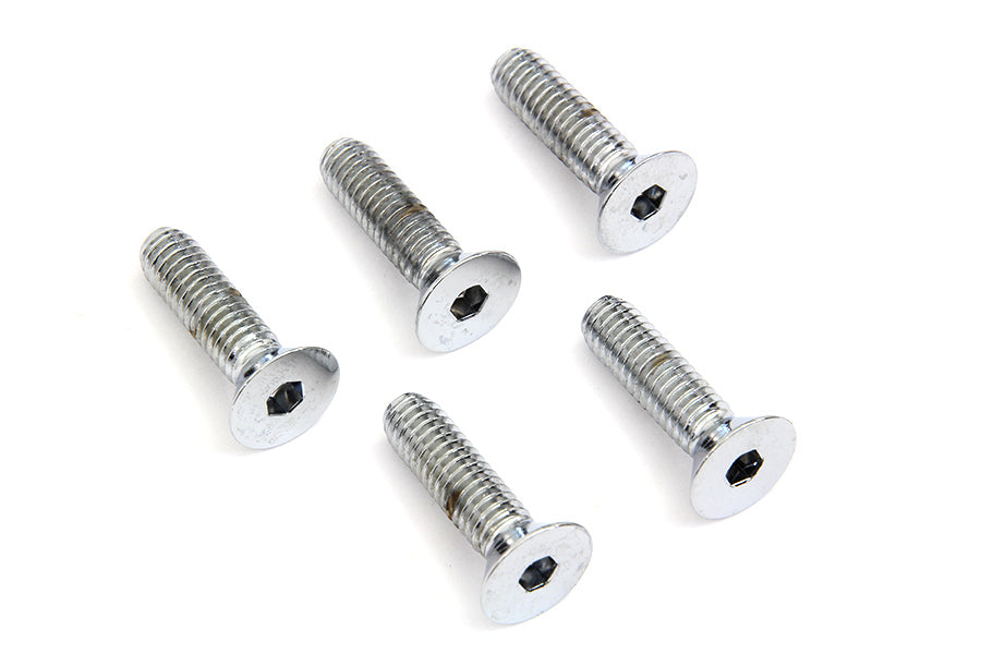 Front Disc Brake Screws