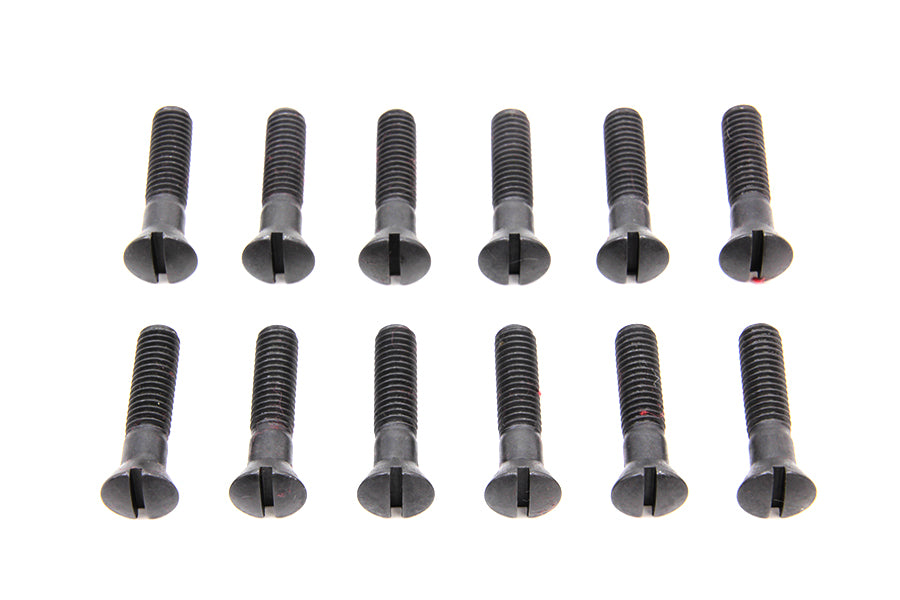 Cam Cover Screw Kit Parkerized