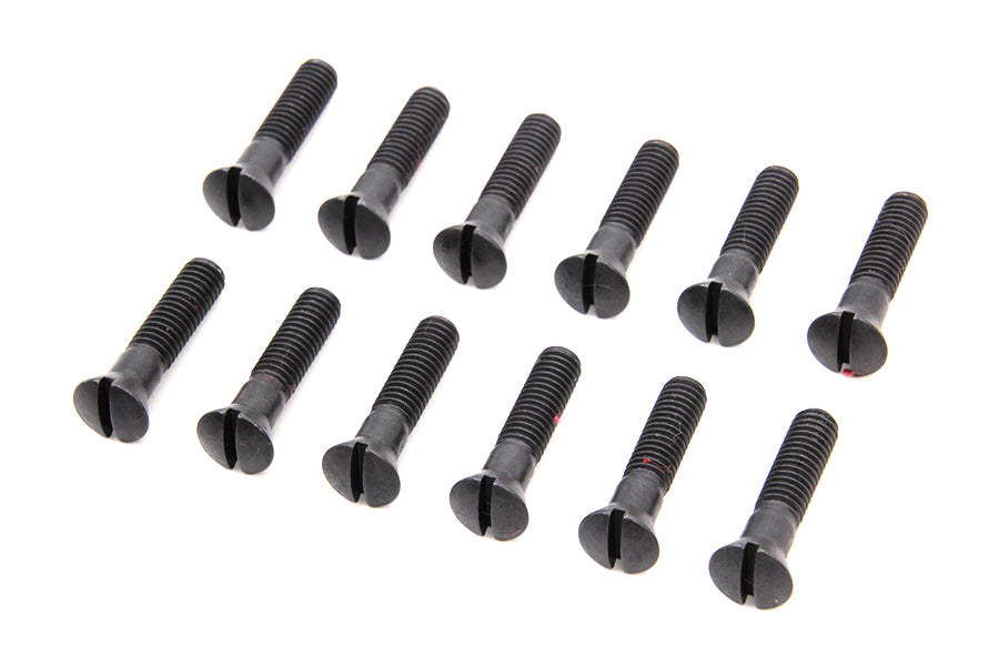 Cam Cover Screw Kit Parkerized