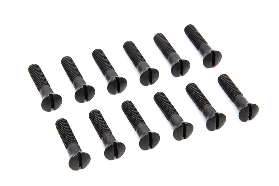 Cam Cover Screw Kit Parkerized