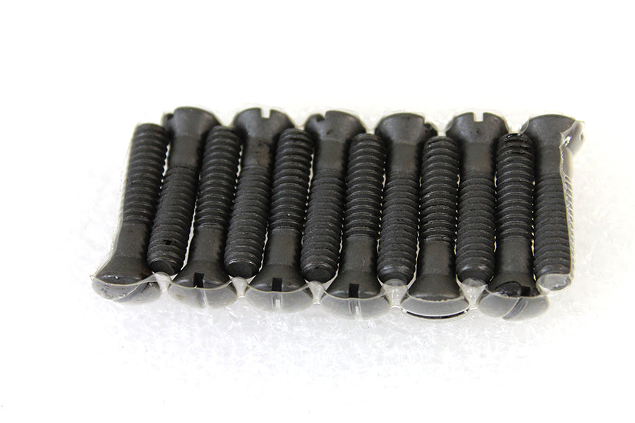 Cam Cover Screw Kit Parkerized