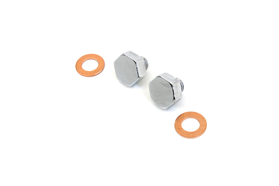 Chrome Fork Slider Drain Screws